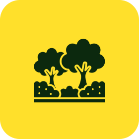 Long-Lasting Landscape Solutions