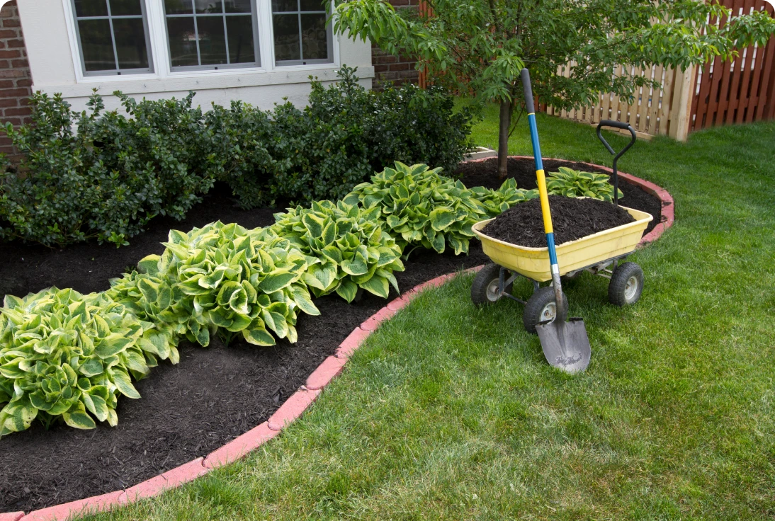 Garden with wheelbarrow, shovel, and plants.