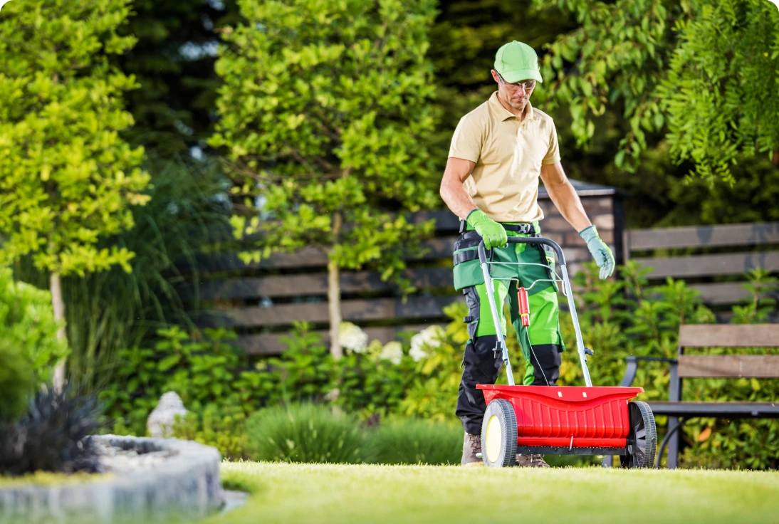 Gardener using a lawn spreader outdoors.