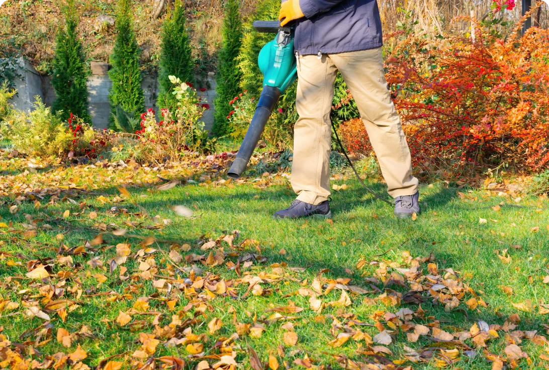 Person using leaf blower in garden.