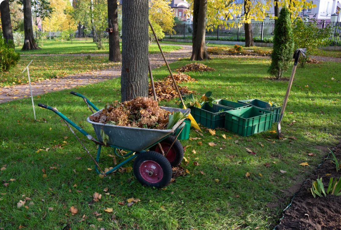 Wheelbarrow and crates in a park.