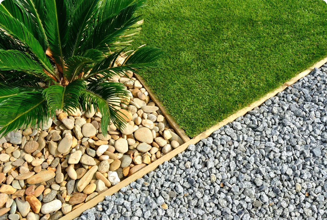 Garden with grass, rocks, and palm plant.